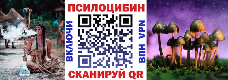 Псилоцибиновые грибы Cubensis  купить   Лесосибирск 